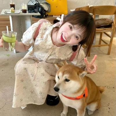 我们的黄金年代